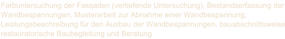 Farbuntersuchung der Fassaden (vertiefende Untersuchung), Bestandserfassung der  Wandbespannungen, Musterarbeit zur Abnahme einer Wandbespannung,  Leistungsbeschreibung fr den Ausbau der Wandbespannungen, bauabschnittsweise  restauratorische Baubegleitung und Beratung